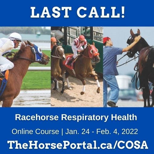 Featured image for “Last Call! – Racehorse Respiratory Course Starts Next Monday!”