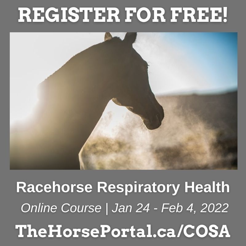 Featured image for “Register for the Racehorse Respiratory Health Online Short Course!”