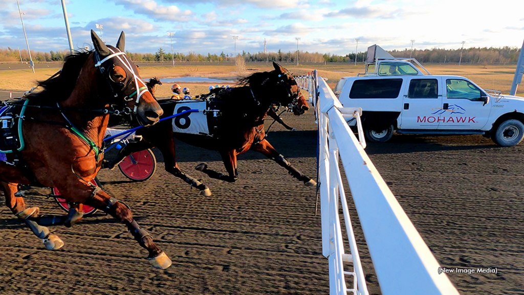 Featured image for “Sophomore Trotters In Spotlight At Mohawk Park”