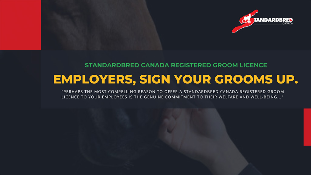 Featured image for “Employers, Sign Your Grooms Up”