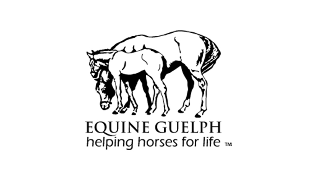 Featured image for “Equine Guelph Shares Youth Resources For Ag Safety Week”